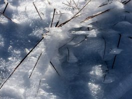 Ingleborough - Ice Coated Grass